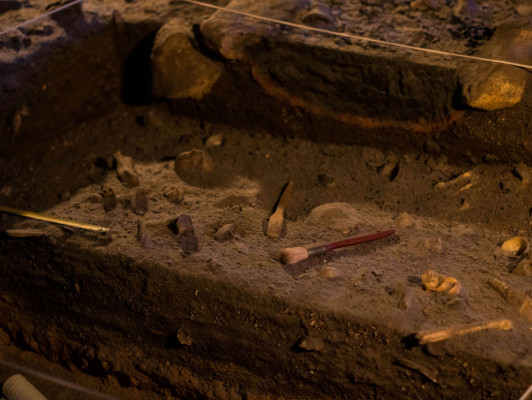 Ontdek de archeologische musea van Nederland