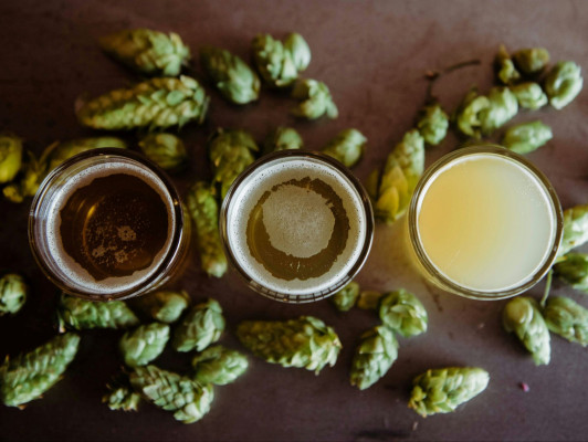 Bierproeverij en De geschiedenis van het bier