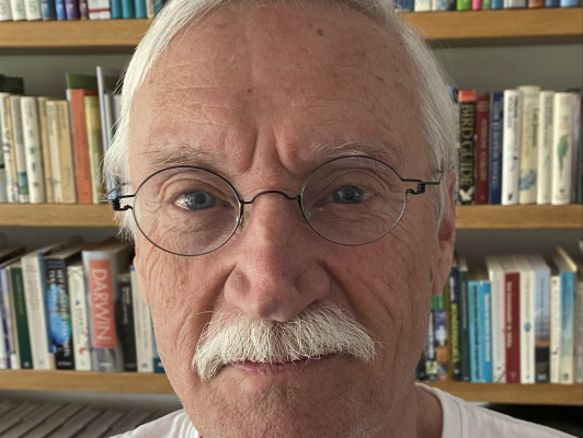 Piet Mout